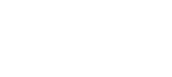 Auto Ritter